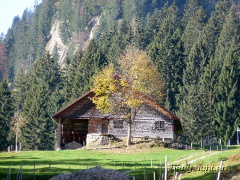 Hütte im Gunzesrieder Tal