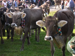 Ankunft am Scheidplatz