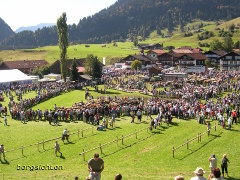 Der Obermaiselsteiner Scheidplatz