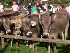 Warten auf den Transport